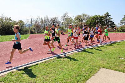 Trofeo Trieste, il "cavallo di razza" Sterni s'impone nettamente ai 3000 su pista
